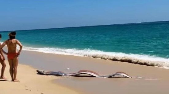 Reprodução/Instagram