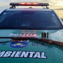 Imagem PM-AL apreende arma, aves silvestres e redes de pesca predatória no interior