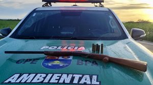 Imagem PM-AL apreende arma, aves silvestres e redes de pesca predatória no interior