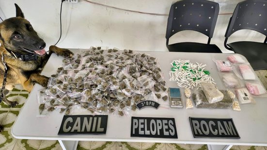 Mais de 665 kg de drogas foram apreendidos na última semana em Alagoas