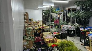 Reprodução/Agência Alagoas