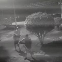 Agressores correndo atrás da capivara - Foto: Divulgação