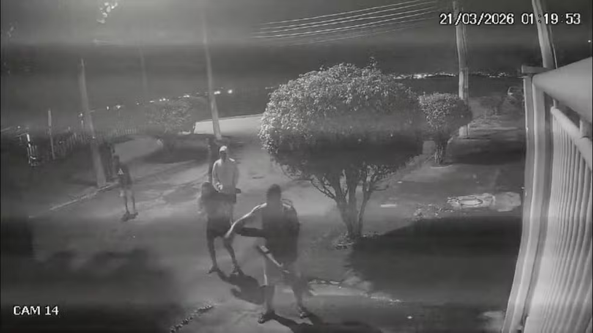 Seis homens são presos por agredir capivara com barra de ferro