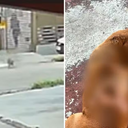 Cão comunitário sofre queimaduras, em Goiânia - Foto: Reprodução/TV Anhanguera