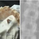 Foto: Reprodução/Arquivo Pessoal