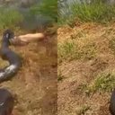 Foto: Reprodução/Redes Sociais