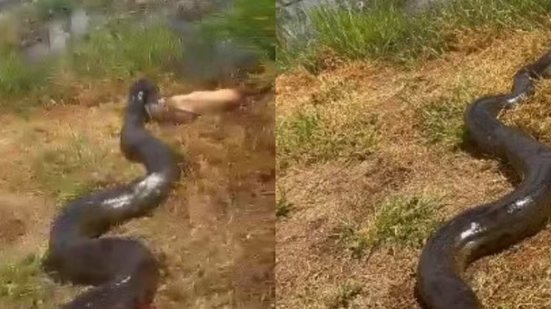 Foto: Reprodução/Redes Sociais