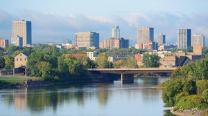 Foto: Reprodução/Freepik