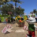 Vinicius Rocha/Iumina