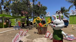 Vinicius Rocha/Iumina