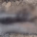 Corpo foi levado ao IML para exames - Foto: Reprodução