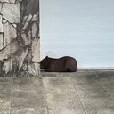 Animal foi resgatado no bairro do Farol, em Maceió, após sofrer um ataque de cães - Foto: Reprodução/TV Pajuçara