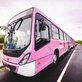 Maceió cria linhas de ônibus exclusivas para mulheres
