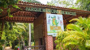 Parque Municipal de Maceió abre agendamentos para visitas guiadas - Alexandre Vieira / Alurb