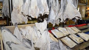 Reprodução/Agência Brasil