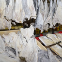 Manchas avermelhadas ou pontos pretos indicam presença de bactérias - Foto:  Reprodução/Imprensa Rio Claro-SP