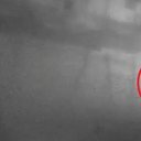 Vultos de animais teriam sido filmados por câmera de segurança - Reprodução