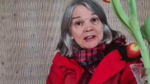 Reprodução/Instagram/celiamariacassiano