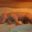 Foto: Reprodução/USP