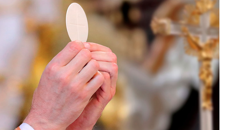 Reprodução/Cruz Terra Santa