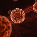 Foto: Reprodução/Freepik