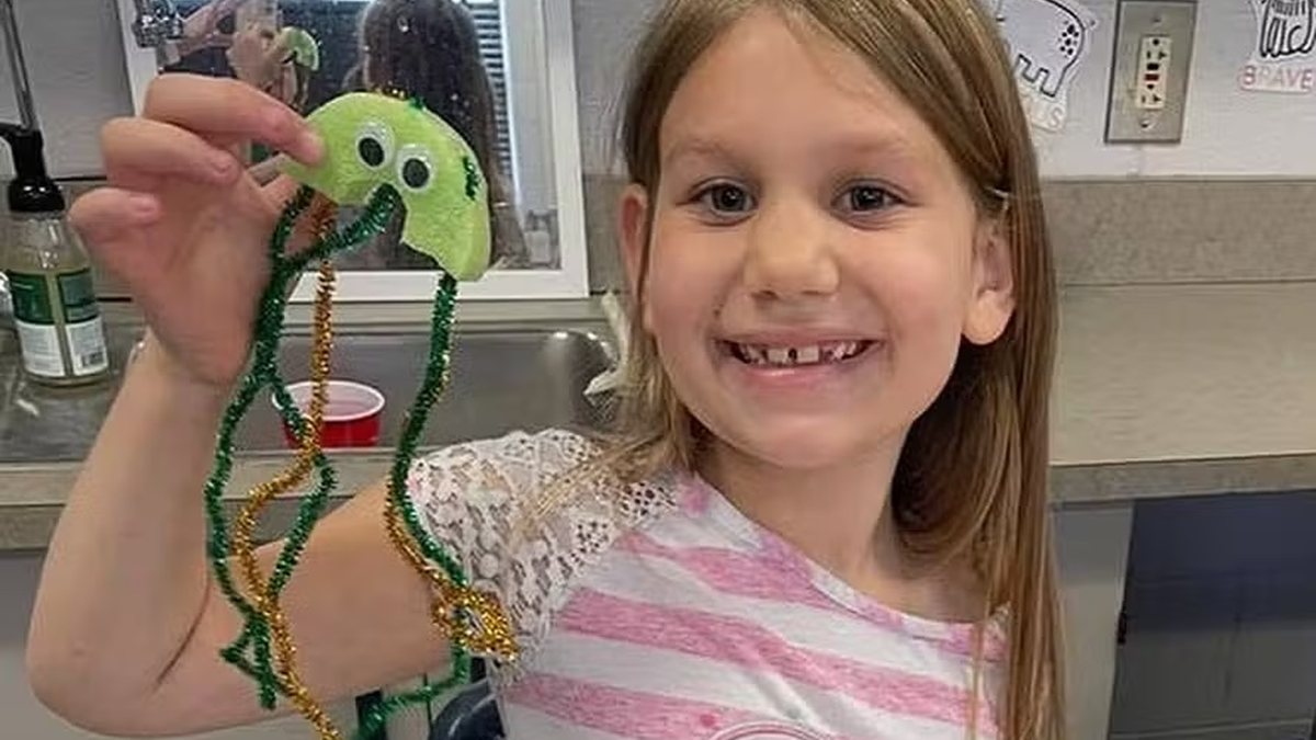 Menina de 10 anos é encontrada morta dentro de casa\u003B menor é apontado como autor do crime