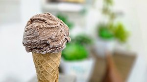 Imagem Páscoa para todos: brownie sem açúcar, sem lactose e com muito amor na DiBosco