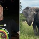 Imagem Dono de parque morre pisoteado por elefante após declarar que preferia a morte a ver animal abatido