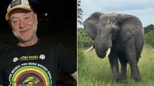 Imagem Dono de parque morre pisoteado por elefante após declarar que preferia a morte a ver animal abatido