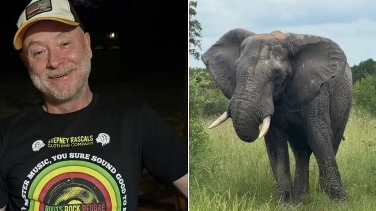Dono de parque morre pisoteado por elefante após declarar que preferia a morte a ver animal abatido
