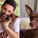 Cãozinho desaparecido do cantor Edson é encontrado morto - Arquivo pessoal