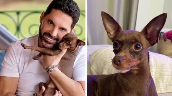Cãozinho desaparecido do cantor Edson é encontrado morto - Arquivo pessoal