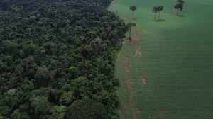 Queda impactou positivamente resultado mundial - Foto: Agência Brasil