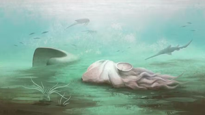 Desenho de reconstrução de Pohlsepia mazonensis, fóssil de molusco atribuído a parente antigo dos polvos - Thomas Clements/Universidade de Reading