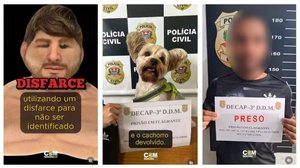 Foto: Reprodução/Polícia Civil