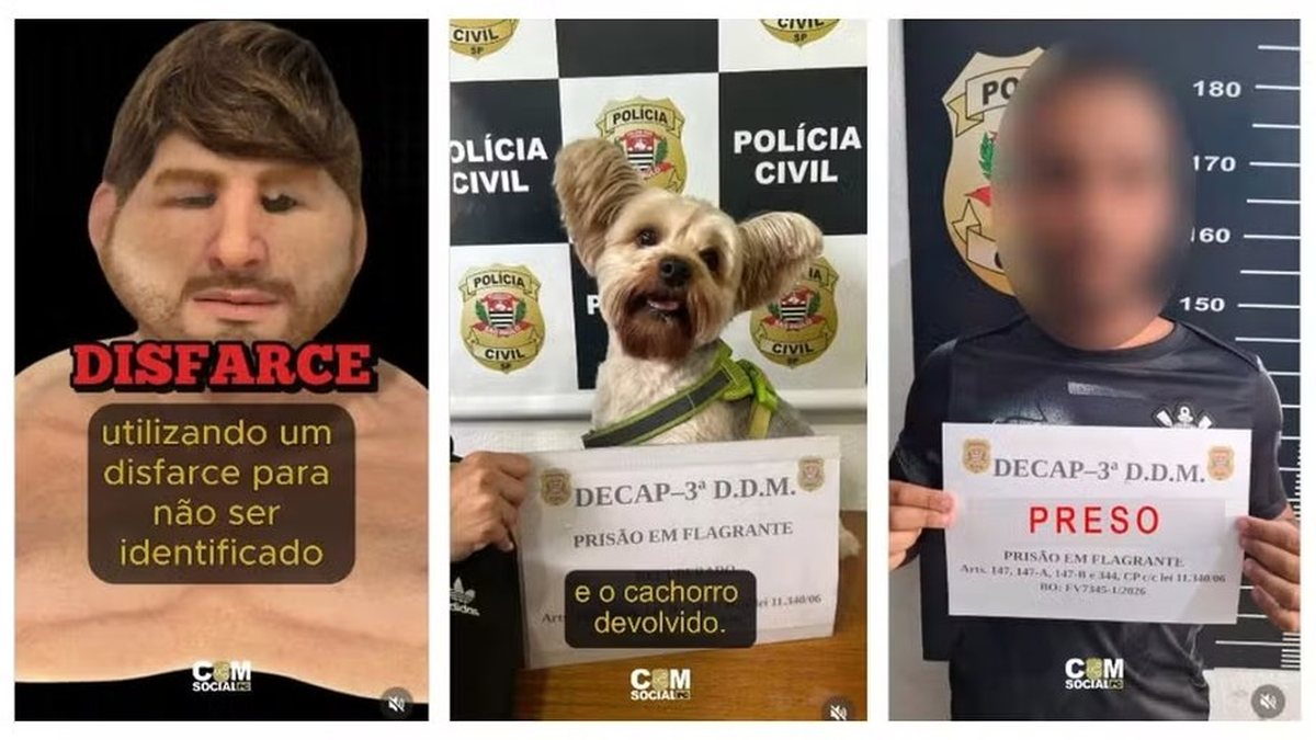 Homem usa máscara realista para furtar cachorro da ex\u002Dcompanheira em pet shop