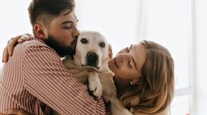 Imagem Lei de custódia de pets é sancionada no Brasil