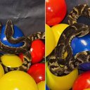 Foto: Reprodução/Redes Sociais