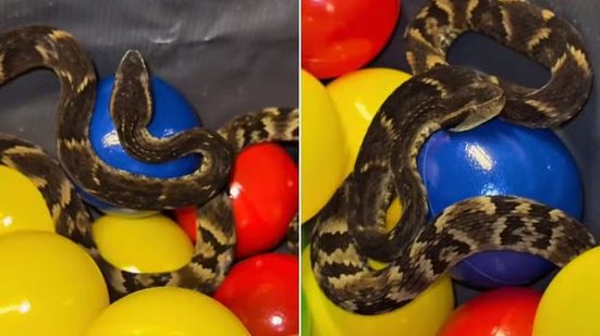 Foto: Reprodução/Redes Sociais