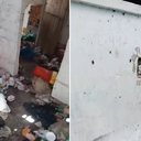 Baratas e lixo aos montes: Justiça determina internação de acumulador em Delmiro Gouveia - Reprodução / MP-AL