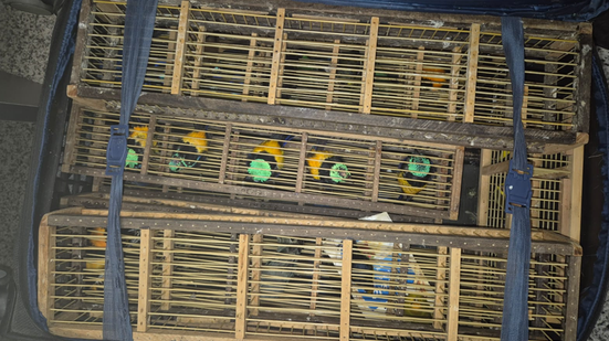 Foto: Divulgação/PC-AL