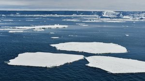 Mar de Bellingshausen, perto da Antártida, registrado de um navio de pesquisa em 2025 - Laura Cimoli / Universidade de Cambridge
