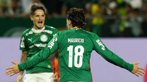 Cesar Greco / Palmeiras