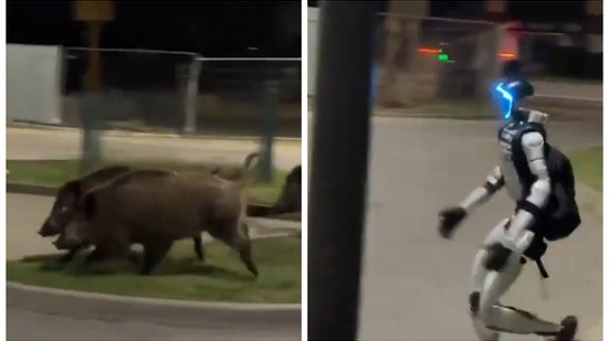 Foto: Reprodução/X