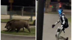 Foto: Reprodução/X