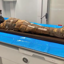 Marzena Ożarek-Szilke/Universidade de Wrocław