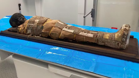 Marzena Ożarek-Szilke/Universidade de Wrocław