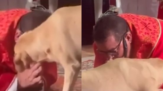 Cão caramelo deita no chão com padre que rezava e vídeo viraliza