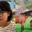 Reprodução/Museu da Universidade de Nagoia