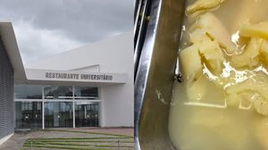 Divulgação/Ufal e Reprodução/TV Pajuçara